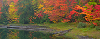 Autumn Forest, Foggy Bogs and Lake Superior Shoreline, Porcupine Mountains Wilderness State Park and Environs, Michigan